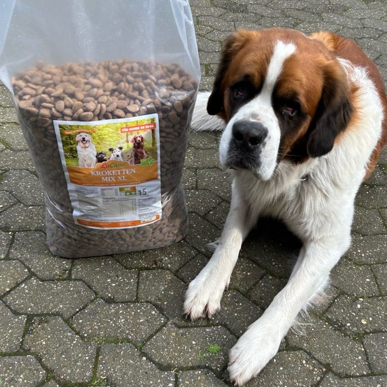 Trockenfutter für Hunde