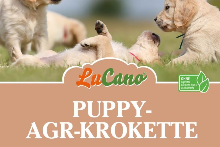 Welpenfutter für große Hunde