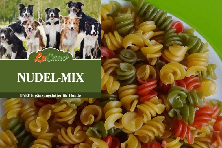 für große Hunde Trockenfutter