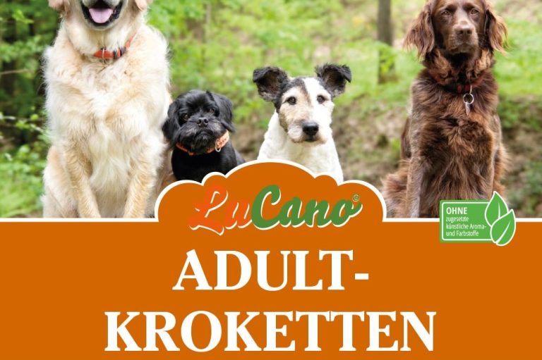Hundefutter gut und günstig
