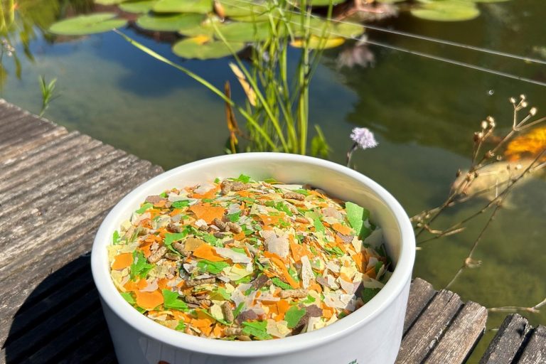 Fischfutter für den Gartenteich