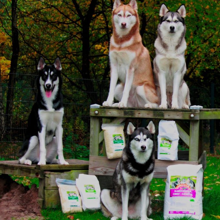 Gemüseflocken Hund