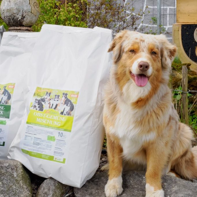Hunde Flocken Mixer