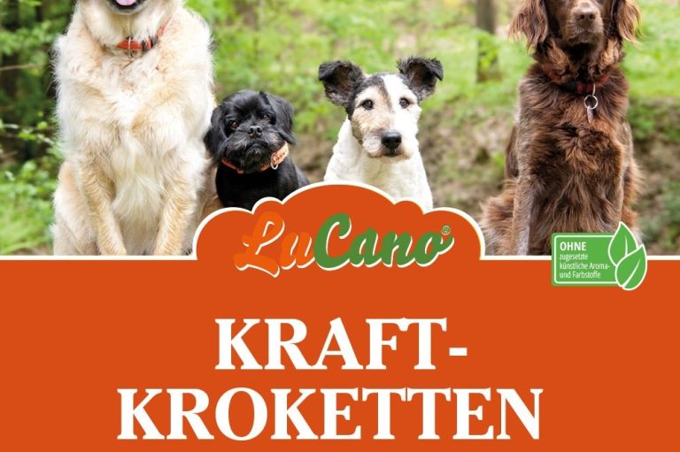gut und günstiges Hunde Trockenfutter
