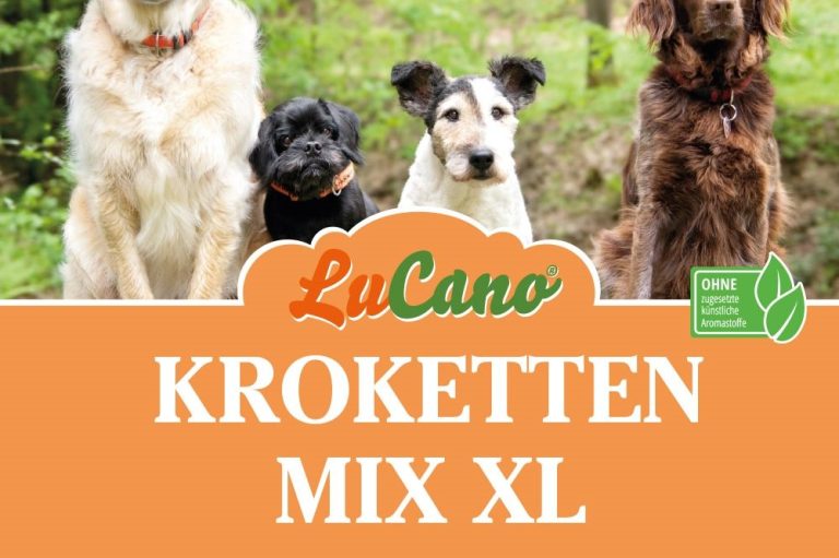 für große Hunde Trockenfutter